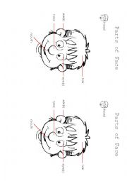 English Worksheet: parts  of face