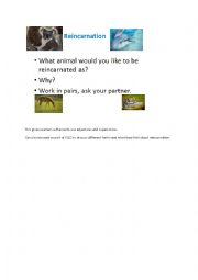 English Worksheet: Reincarnation