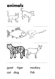 English Worksheet: Easy animal workshet