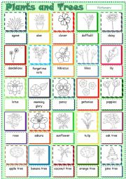 English Worksheet: Plants, Flowers and Trees