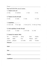 English Worksheet: Amphibians - vertebrates test