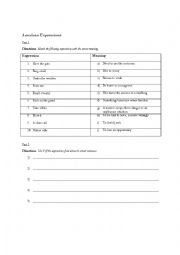 English Worksheet: American Slang Expressions & Conversation