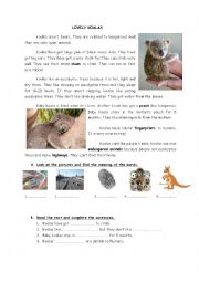 English Worksheet: Lovely Koalas Reading