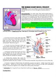 English Worksheet: heart