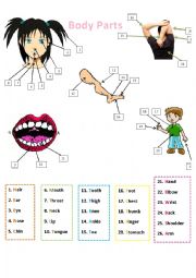 English Worksheet: Body Parts