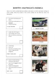 English Worksheet: Australian animals 