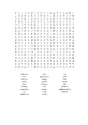 House wordsearch