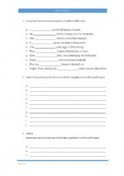 English Worksheet: SIMPLE PRESENT PRACTICE EXERCISES