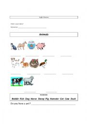 English Worksheet: Domestic and Farm Animals