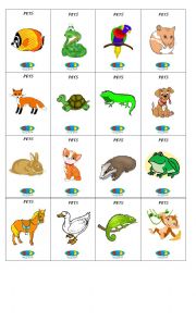 English Worksheet: pets