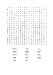 English Worksheet: Wordsearch