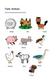 English Worksheet: Animals
