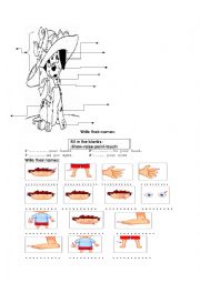 English Worksheet: body parts