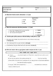 English Worksheet: Quiz