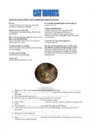 English Worksheet: Cat idioms