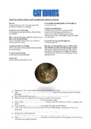 Cat idioms