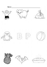 B and P Worksheet