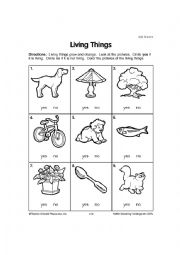 English Worksheet: Living Things
