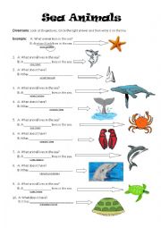 English Worksheet: Sea Creatures