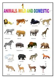 English Worksheet: ANIMALS PICTIONARY