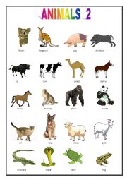 English Worksheet: ANIMALS PICTIONARY 