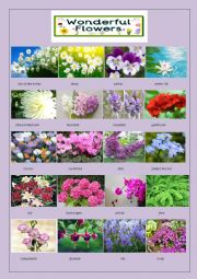 English Worksheet: wonderful flowers