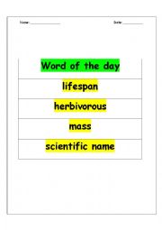 English Worksheet: Malayan Tapir and Sunda Pangolin