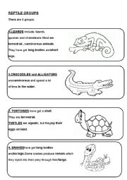 English Worksheet: REPTILE GROUPS