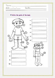 English Worksheet: Parts of the body