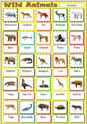 English Worksheet: Wild Animals