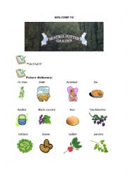 English Worksheet: Peter rabbit graded reader picture dictionary