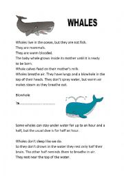 English Worksheet: Whales