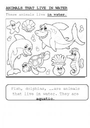 English Worksheet: aquatic animals