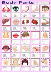 English Worksheet: body parts