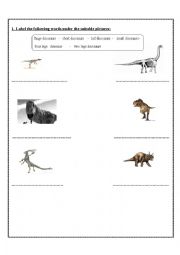 English Worksheet: dinosaurs