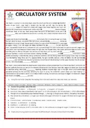 English Worksheet: CIRCULATORY SYSTEM