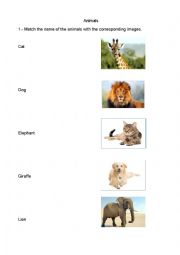 English Worksheet: Wild animals