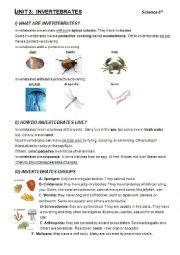 English Worksheet: INVERTEBRATES