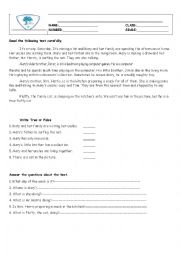 English Worksheet: Reading Comprehension Tests