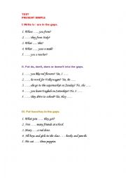 English Worksheet: Present Simple Test