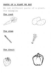 English Worksheet: parts of a plant we eat