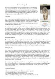 Snow Leopard, reading and class discussion