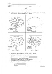 English Worksheet: seasons