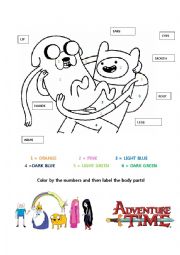 English Worksheet: Adventure Time Human Body Worksheet