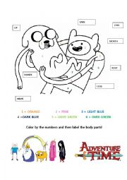 Adventure Time Human Body Worksheet