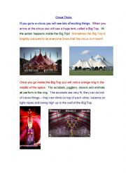 English Worksheet: The Circus