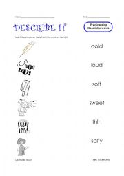 English Worksheet: Descriptive Words