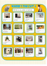 English Worksheet: Wheres the Cat? 4