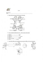 Parts of the body test