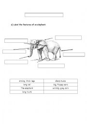 English Worksheet: Animal description (Elephant)